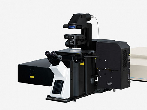 OLYMPUS FVMPE-RS  Evident