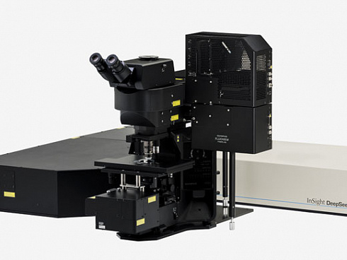 OLYMPUS FVMPE-RS  Evident
